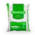 Providencia White Sugar Azucar Blanca Refinada Pure Cane Grains - 2.2 lb (1000g)